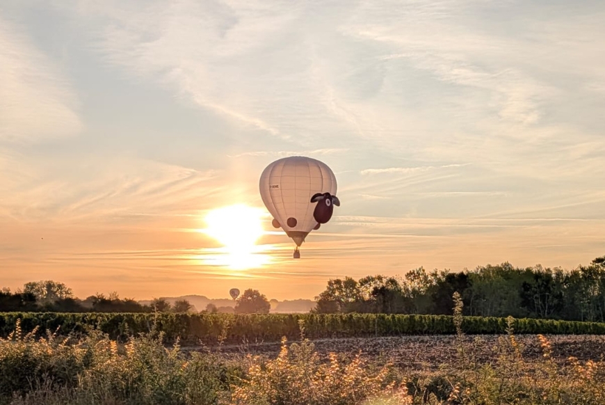 Dolly the Sheep hot air balloon